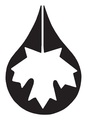 CT Maple Logo
